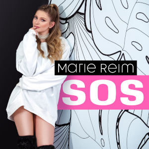 Offiziellen Party Schlager Charts