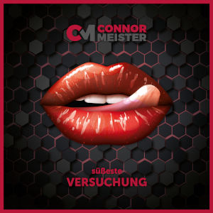 Offiziellen Party Schlager Charts