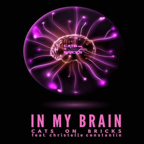 CATS ON BRICKS FEAT. CHRISTELLE CONSTANTIN-In My Brain (Chris Cooper 2020 Remix)