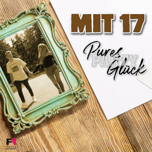 Offiziellen Party Schlager Charts