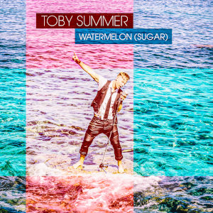 Offiziellen Party Schlager Charts