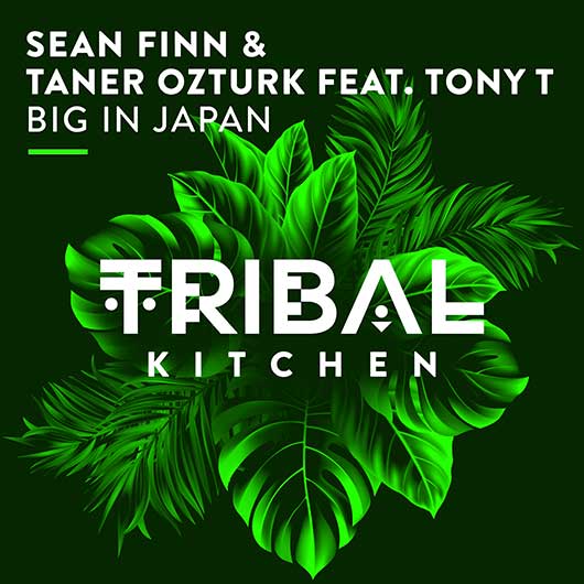 SEAN FINN & TANER OZTURK FEAT. TONY T-Big In Japan