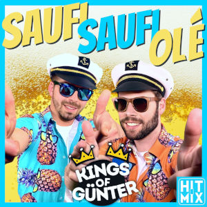 Offiziellen Party Schlager Charts
