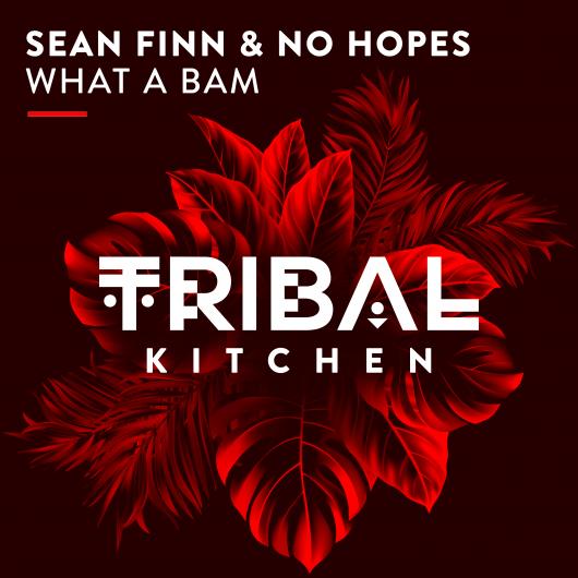 SEAN FIN N & NO HOPES-What A Bam