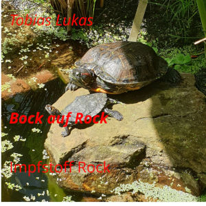 Offiziellen Party Schlager Charts