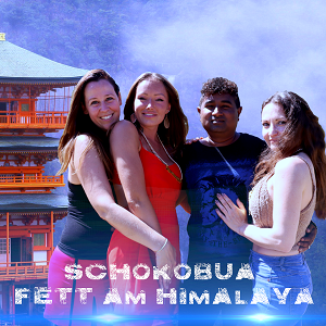 Offiziellen Party Schlager Charts