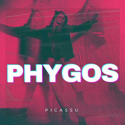 PHYGOS-Picassu