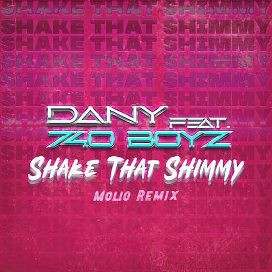 DANY FEATURING 740 BOYZ X MOLIO-Shake That Shimmy (molio Remix)
