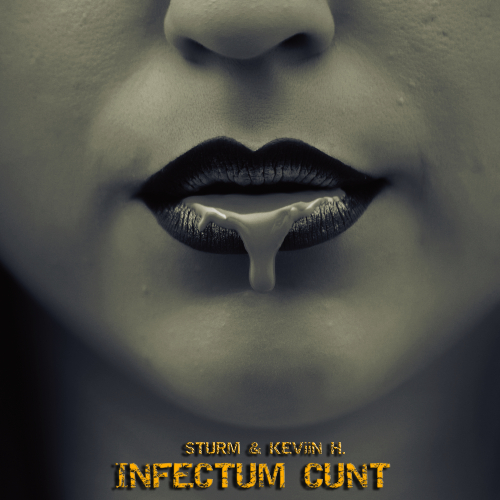 STURM & KEVIIN H.-Infectum Cunt