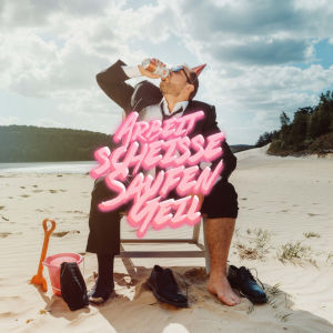 Offiziellen Party Schlager Charts