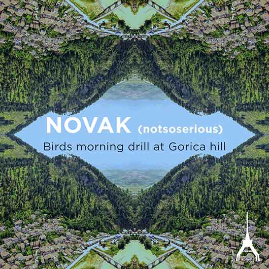 NOVAK (NOTSOSERIOUS)-Birds Morning Drill At Gorica Hill