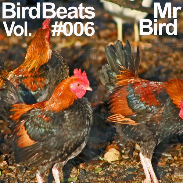  Mr Bird-Drop The Pressure