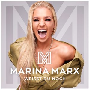 Offiziellen Party Schlager Charts