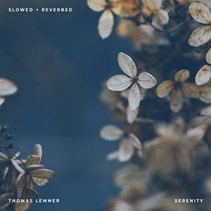 THOMAS LEMMER-Serenity (slowed + Reverbed)