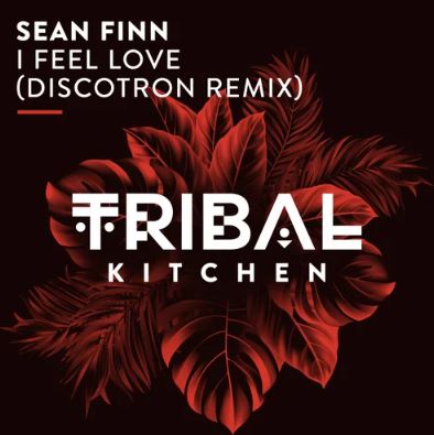 SEAN FINN-I Feel Love (discotron Remix)