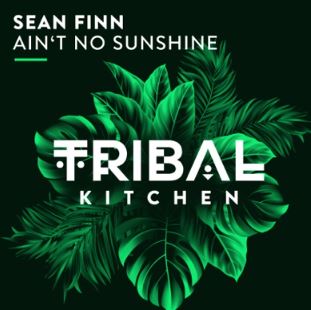 SEAN FINN-Aint No Sunshine