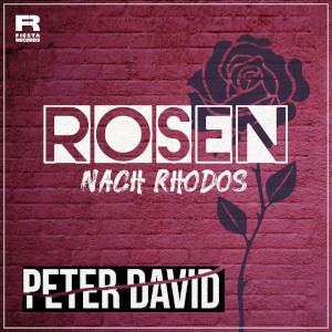 Offiziellen Party Schlager Charts