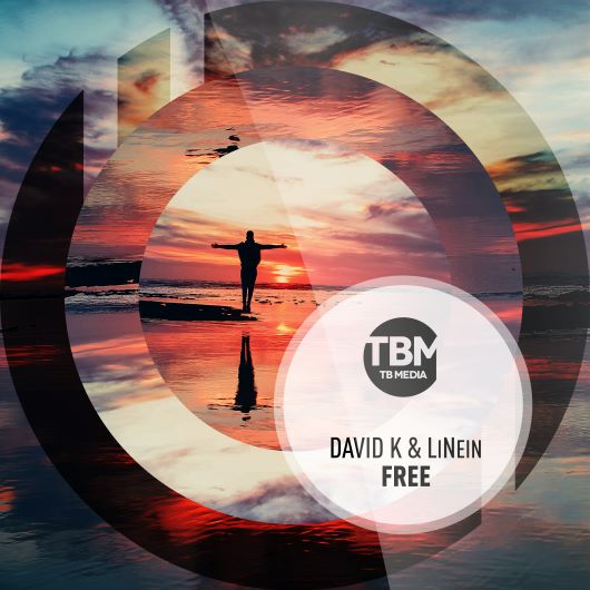 DAVID K. & LINEIN-Free