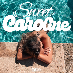 Offiziellen Party Schlager Charts