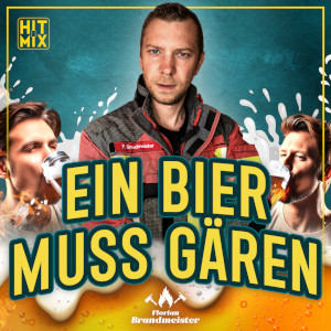 Offiziellen Party Schlager Charts