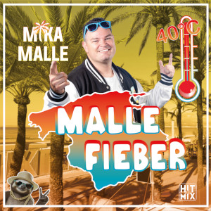 Offiziellen Party Schlager Charts