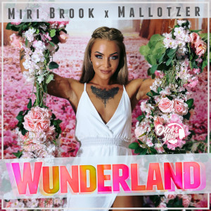 Offiziellen Party Schlager Charts