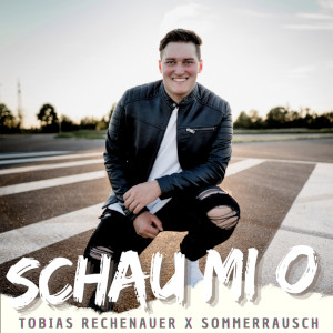 Offiziellen Party Schlager Charts