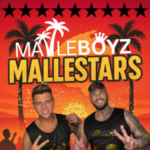Offiziellen Party Schlager Charts