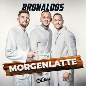 Offiziellen Party Schlager Charts