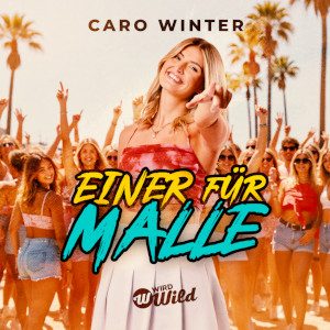 Offiziellen Party Schlager Charts