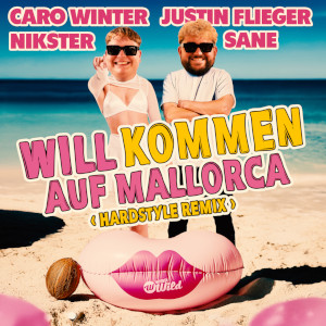 Offiziellen Party Schlager Charts