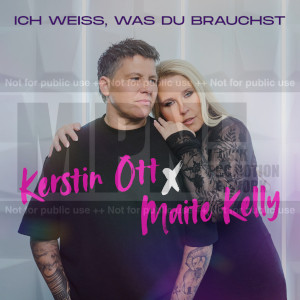 Offiziellen Party Schlager Charts