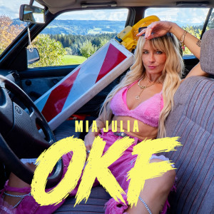 Offiziellen Party Schlager Charts