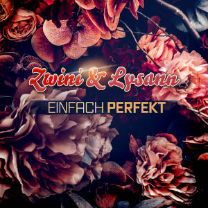 Offiziellen Party Schlager Charts