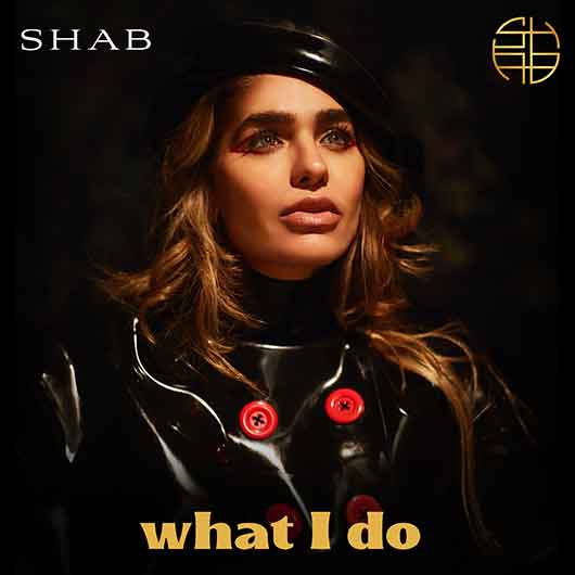 SHAB-What I Do