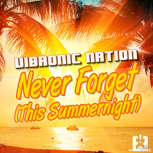 VIBRONIC NATION-Never Forget (this Summernight)