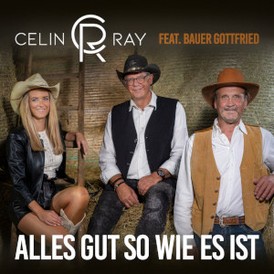 Offiziellen Party Schlager Charts