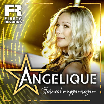 Offiziellen Party Schlager Charts