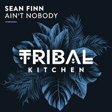 SEAN FINN-Aint Nobody