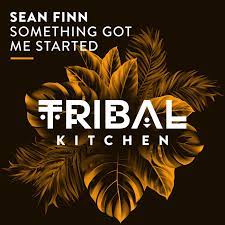 SEAN FINN-Something Got Me Started