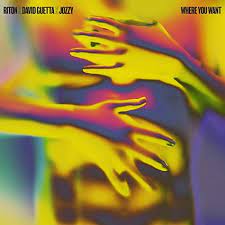 RITON X DAVID GUETTA X JOZZY-Where You Want