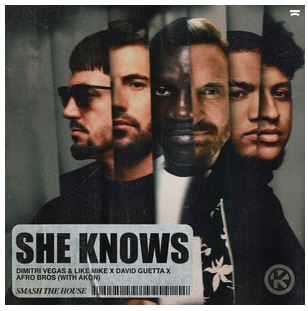 DIMITRI VEGAS & LIKE MIKE, DAVID GUETTA, AKON, AFRO BROS-She Knows