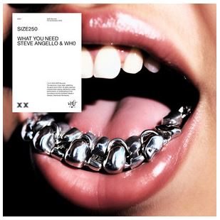 STEVE ANGELLO, WH0-What You Need