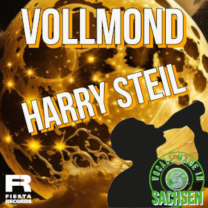 Offiziellen Party Schlager Charts