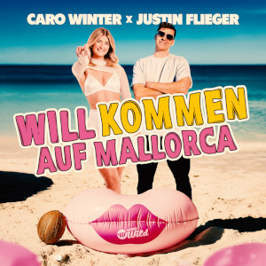 Offiziellen Party Schlager Charts